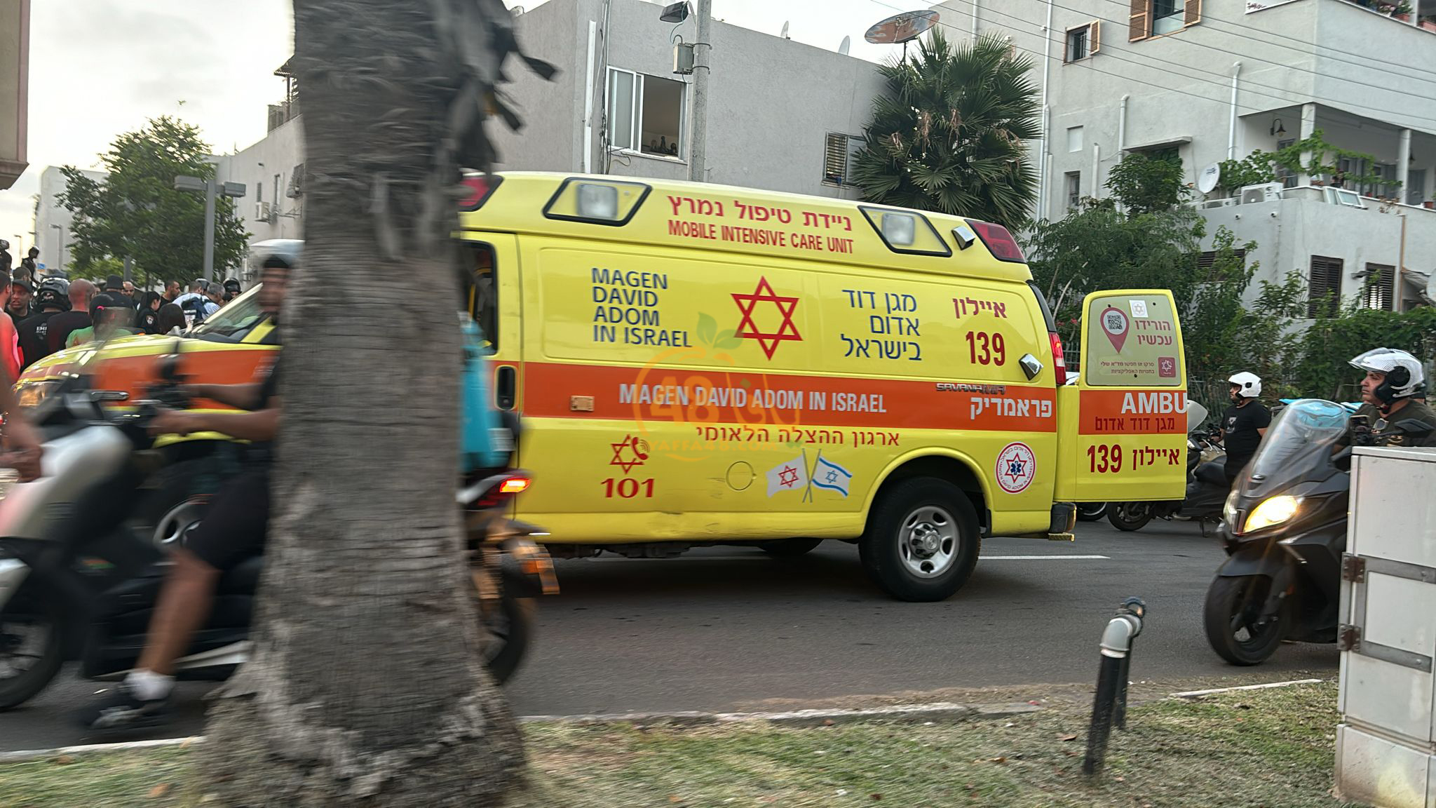 WhatsApp Image 2024-07-15 at 19.45.50_63349b76.jpg